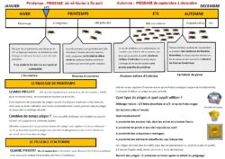 Conseils de l&rsquo;Abeille Périgordine concernant le piégeage de frelons asiatiques.
